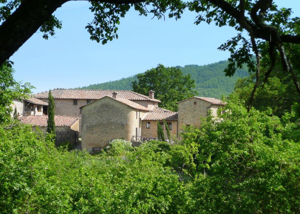 Farm stay Agriturismo Colli Di Travale Montieri