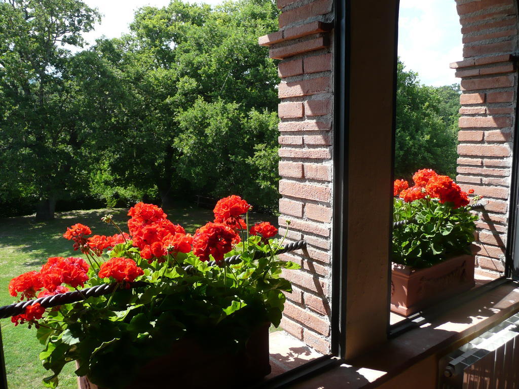 Farm stay Colli Di Travale