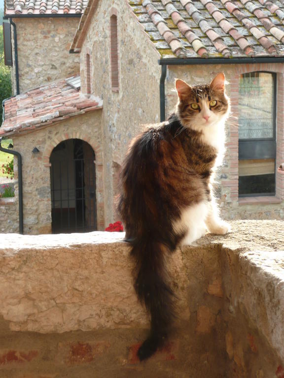 Colli Di Travale